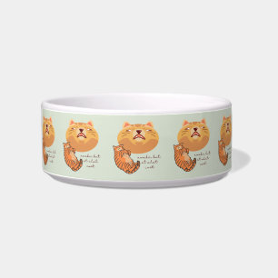 Comedero Gato naranja despierto