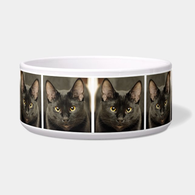 Comedero Gato Negro (Frente)