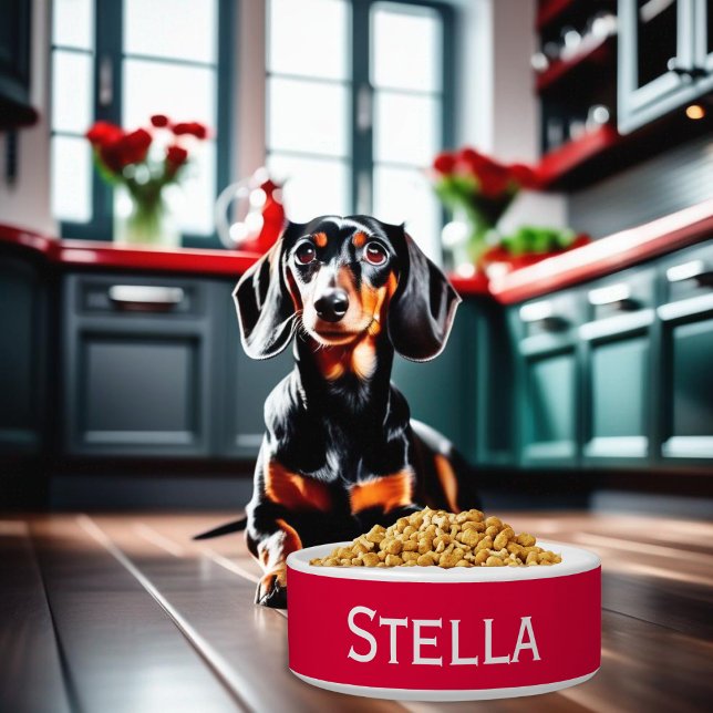 Comedero Gato Perro Rojo Blanco Minimalista Simple Moderno (A red and white ceramic bowl for food or water, personalized with your dog's name)