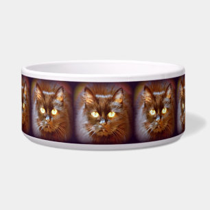 Comedero gatos negros