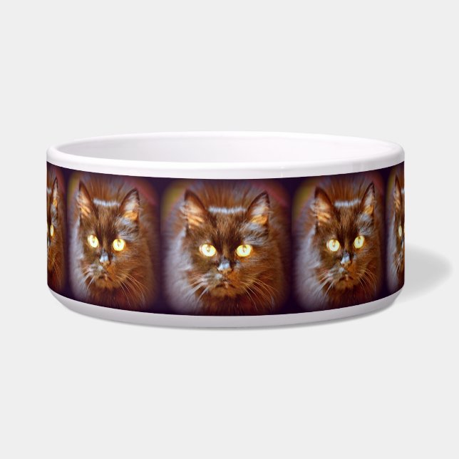 Comedero gatos negros (Frente)