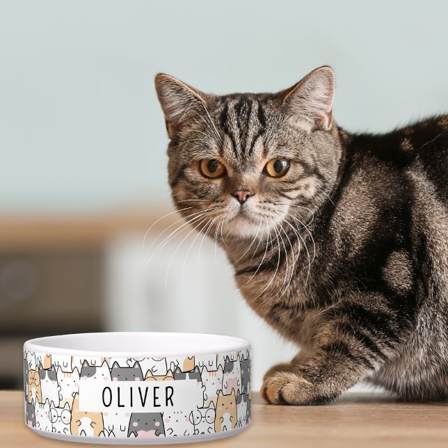 Comedero Gatos Peculiares Nombre Personalizado (Easily customize this cute pet bowl with your furry loved one's name.)