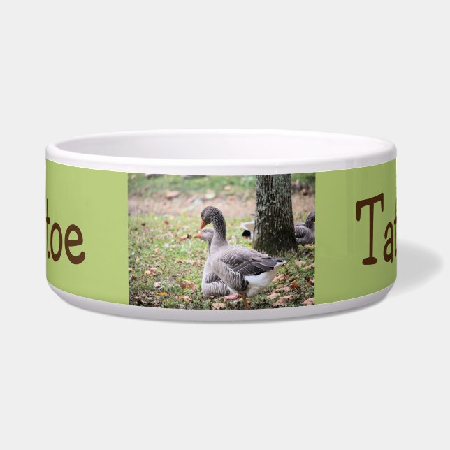 Comedero Geese (Frente)