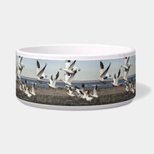 Comedero Geese de nieve voladora