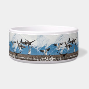 Comedero Geese dispersivo