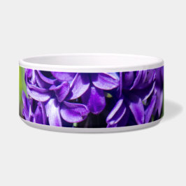 Comedero Geocinth azul en primavera