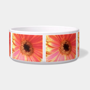 Comedero Gerbera Daisy Flower Dog Bowl