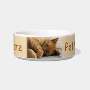 Comedero Ginger Cat Pet Bowl
