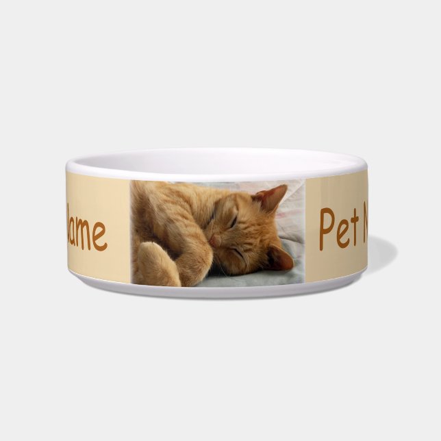 Comedero Ginger Cat Pet Bowl (Frente)