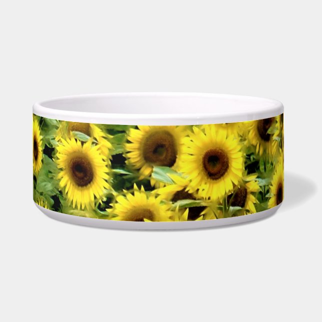 Comedero Girasol (Frente)