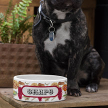 Globo aerostático de chile rojo Pinõn Zia de Nuevo