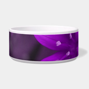 Comedero Gloria del tazón de Perro Morado de Nieve