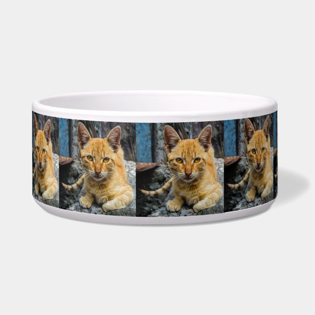 Comedero Golden Eyes Bowl (Izquierda)