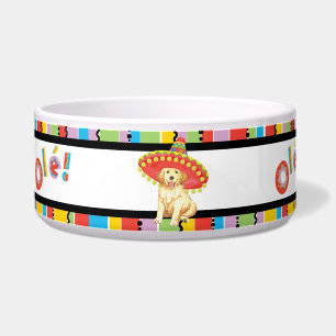 Comedero Golden retriever de la fiesta