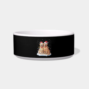 Comedero Golden Retriever Navidad Sombrero de Santa Reno 