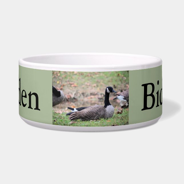 Comedero Goose (Frente)