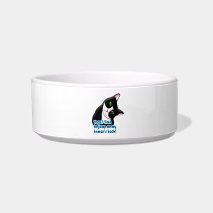 Comedero Gracioso gato de yoga