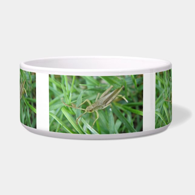 Comedero Grasshopper Dog Bowl (Frente)