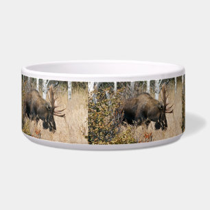 Comedero Grazing Bull Moose