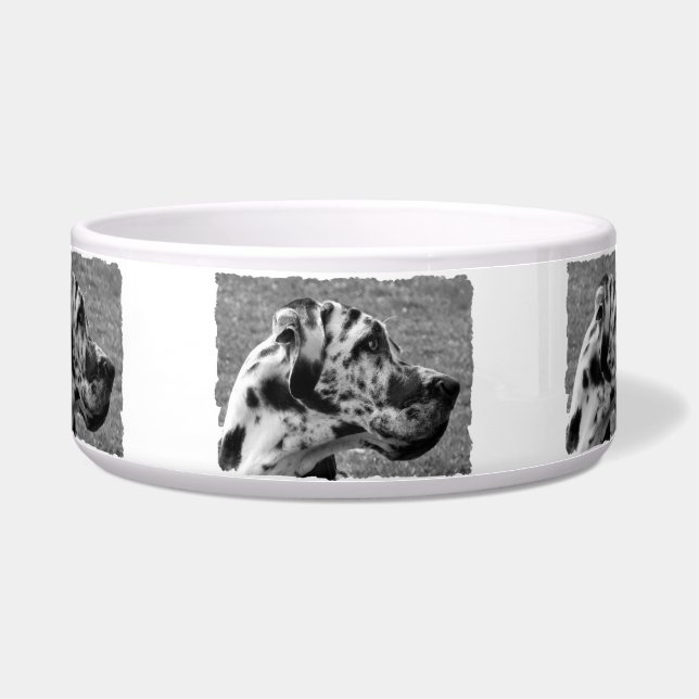 COMEDERO GREAT DANE (Frente)