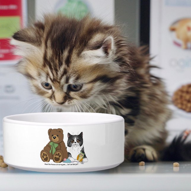 Comedero Gris Cat Teddyt Bear Peach Funny (Subido por el creador)