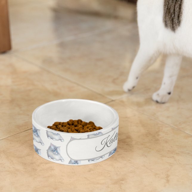 Comedero Gris y blanco, con un grisáceo y esponjoso Gato (Subido por el creador)