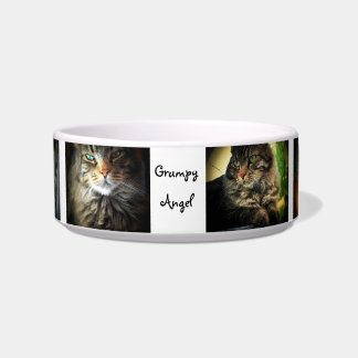 Comedero Grumpy Angel Maine Coon Cat