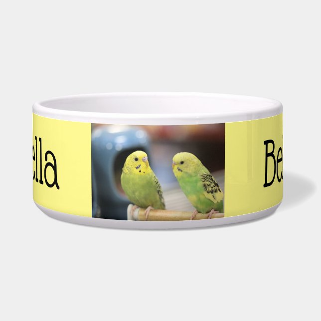 Comedero Guardias serios (Frente)