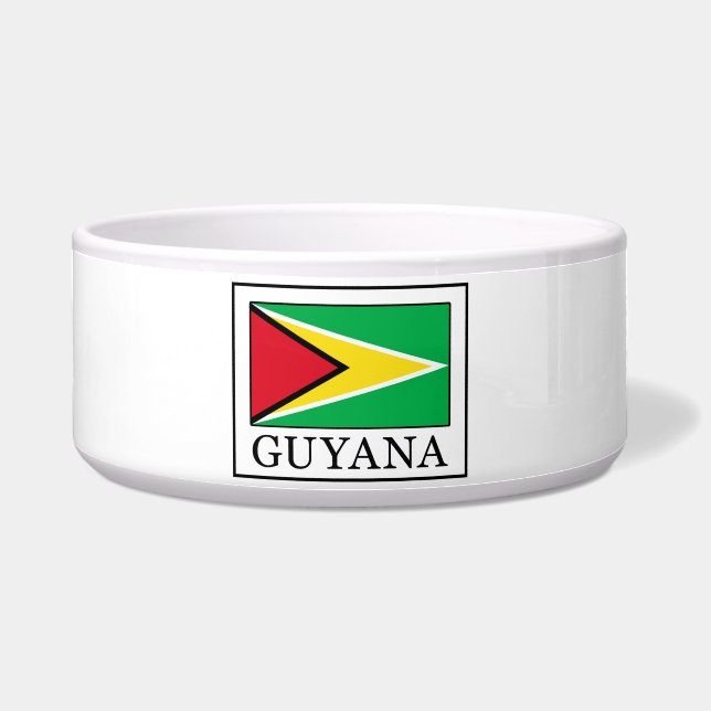 Comedero Guyana (Frente)