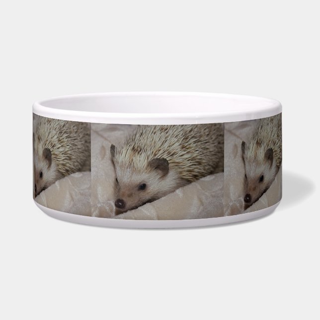 Comedero Hedgehog sonriente (Frente)