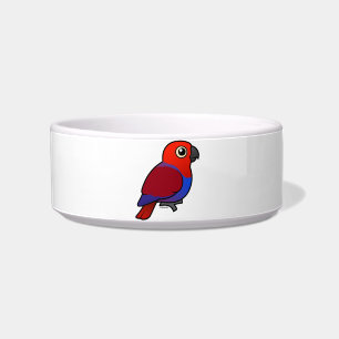 Comedero Hembra del loro de Eclectus