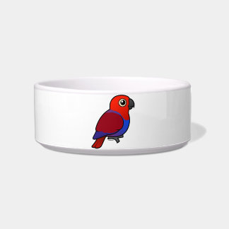 Comedero Hembra del loro de Eclectus