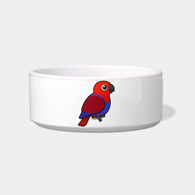Comedero Hembra del loro de Eclectus (Frente)