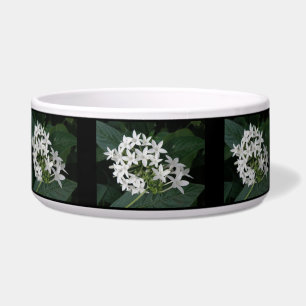 Comedero Hermosa Bolera Tropical Blanca