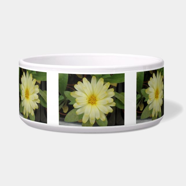 Comedero Hermoso tazón amarillo de perro de Marigold (Frente)