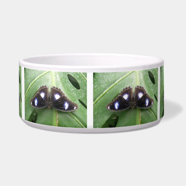 Comedero Hermoso tazón de mariposa azul (Frente)