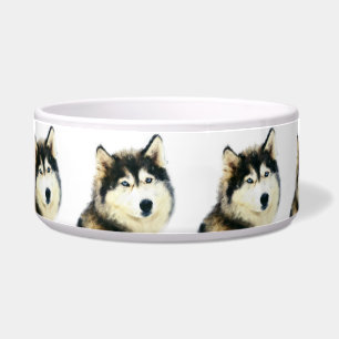 Comedero Hermoso Tazón de Perro - Husky Siberiano