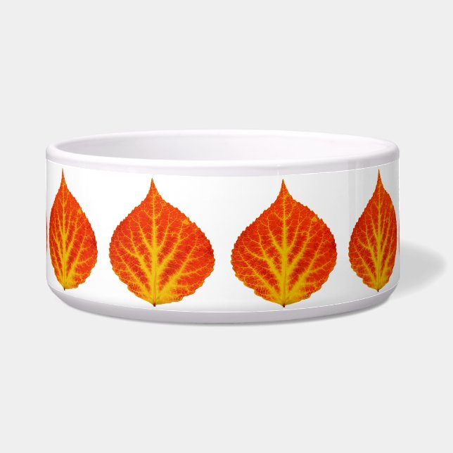 Comedero Hojas de lápiz rojo y amarillo #10 (Frente)