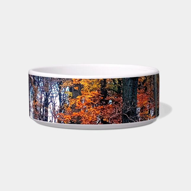 Comedero hojas naranjas , en el bosque (Frente)