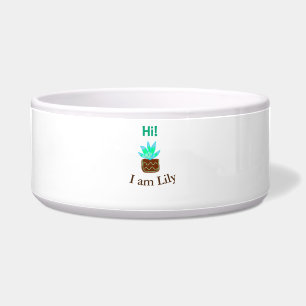 Comedero Hola soy Lily cactus succulum añadir nombre acuare