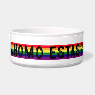 Comedero Homo Estas Mes del Orgullo Gay LGBTQ Mexicano Espa
