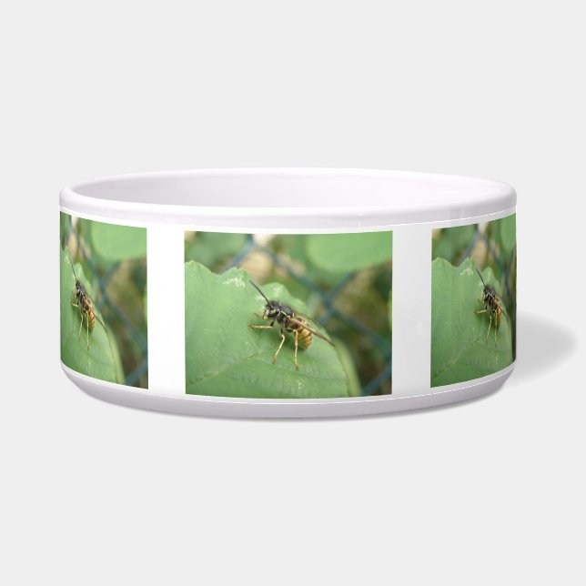 Comedero Hoverfly Macro Dog Bowl (Frente)