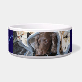 Comedero Huella de Mascota Fiel