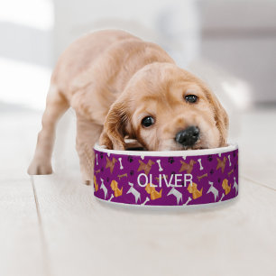 Comedero Huesos y pinturas de perros de origen