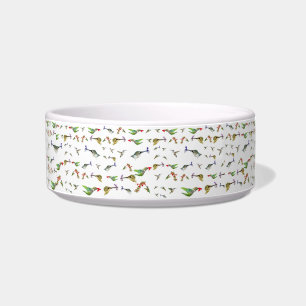 Comedero Hummingbird Bowl de gato