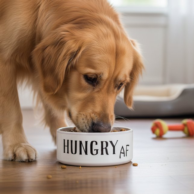 Comedero Humor Divertido Perro Gato Mascota Hambriento AF (Subido por el creador)