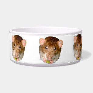 Comedero Hungry Rat Dog Bowl