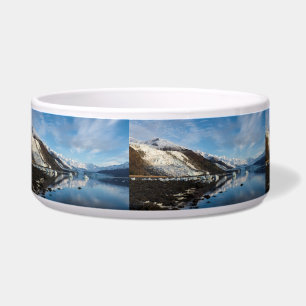 Comedero Icy College Fjord