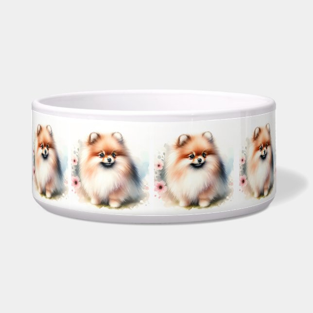 Comedero Ilustracion cutáneo de pomerania (Frente)