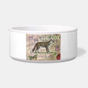 Comedero Ilustracion de animales de la vida silvestre Fox